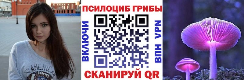 Псилоцибиновые грибы Psilocybe  Чехов 