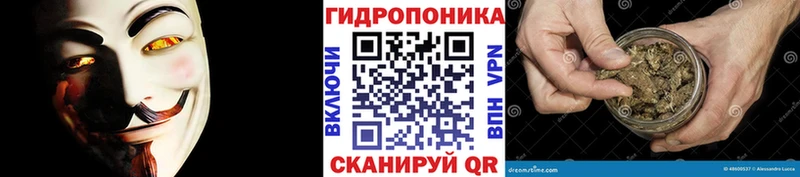 Бошки Шишки семена закладки Чехов
